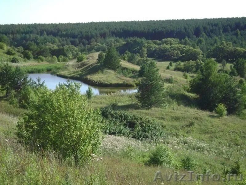 Старо пластиково. Старо пластиково. Старо пластиково. Церковь села алеево рязанская область. Дубровка.