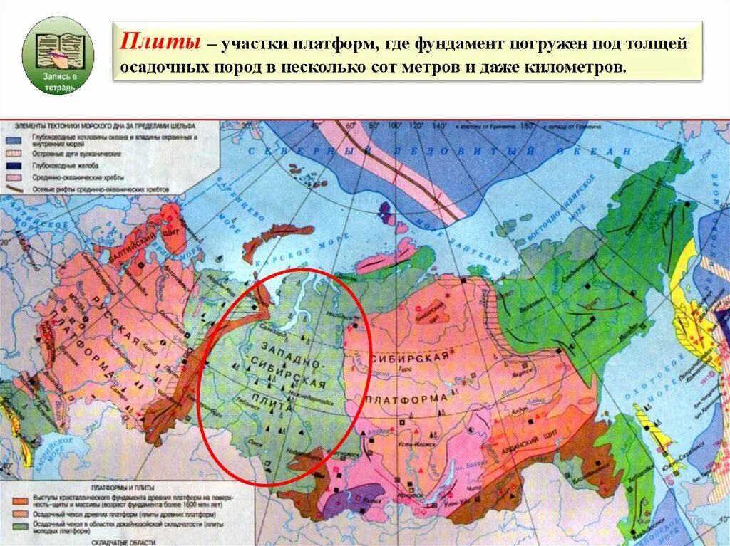 Тектоническая карта Восточно-европейской платформы России. Тектонические плиты и платформы России. Геологические структуры Восточно европейской платформы. Расположение тектонических плит на территории России.