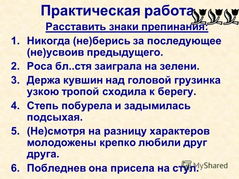 Портрет академика павлова. Академик павлов никогда не беритесь за последующее. Никогда не беритесь за последующее не усвоив предыдущего. Не усвоив предыдущего. Павлов цитаты.