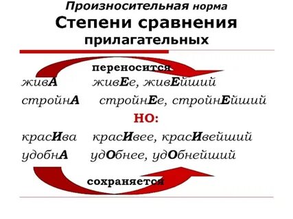 Нормы прилагательных