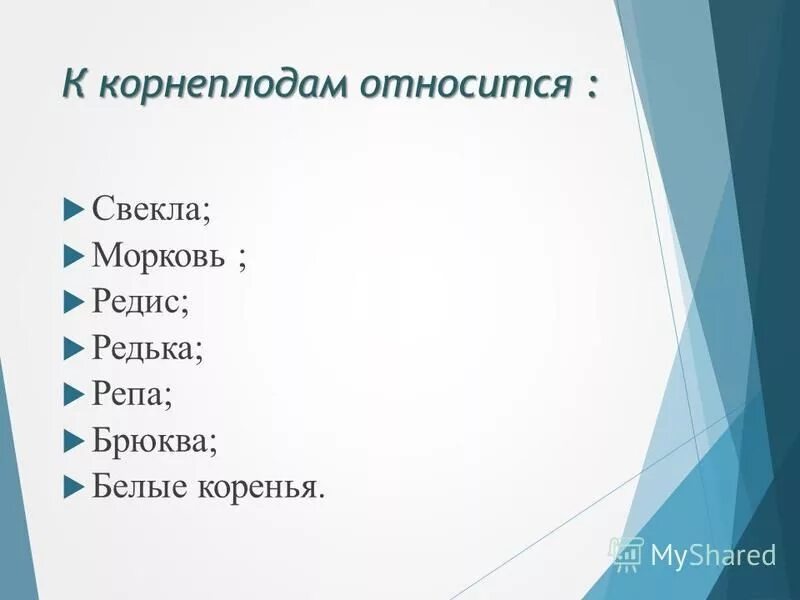 корнеплоды это какие овощи. корнеплоды названия растений. растения имеющие корнеплод. к корнеплодам относятся. корнеплоды список овощей.