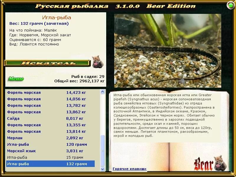 Игра реальная рыбалка рыба игла. 6 барракуда европейская. 7. Реальная рыбалка рыба игла. Реальная рыбалка рыба игла.