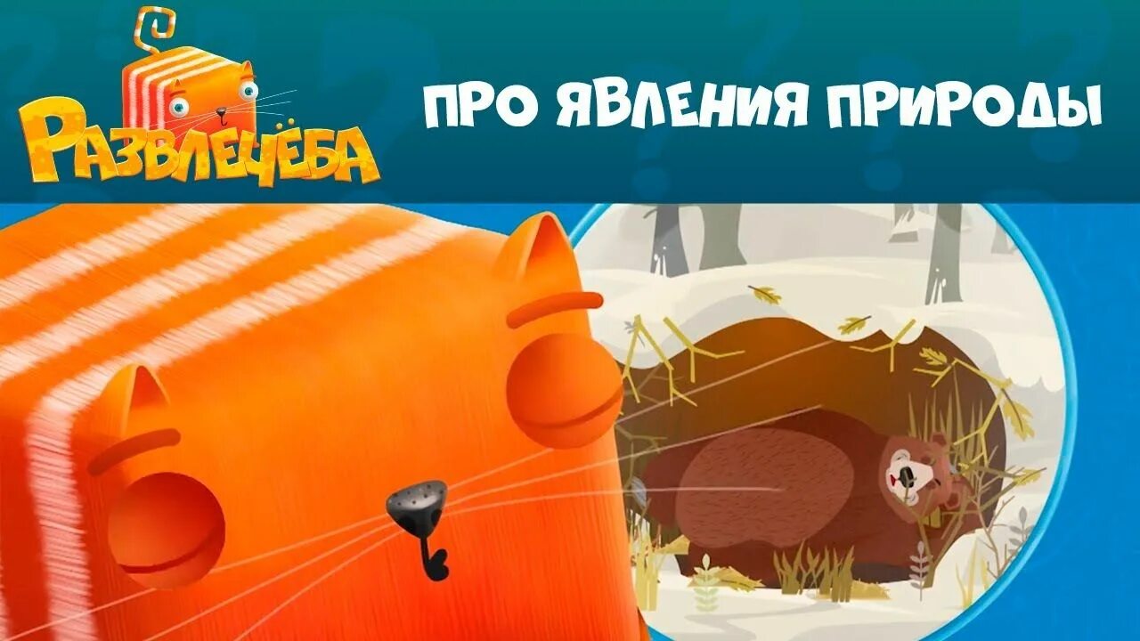 СТС Kids. Развлечёба и кот Кубокот. Развлечёба СТС Kids. Кот Кубокот игра.