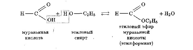 Гидролиз метилового эфира уксусной кислоты. Этанол и муравьиная кислота. Этанол и муравьиная кислота реакция.