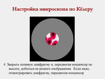 Настройка микроскопа