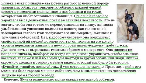 Последовательность происхождения клички собаки выскочка