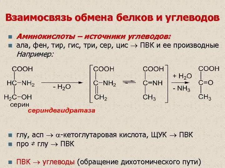 Спасис обмена. Взаимосвязь углеводного и белкового обменов. Взаимосвязь углеводов и белков реакции. Взаимосвязь обмена углеводов и аминокислот. Взаимосвязь между обменом углеводов и белков.