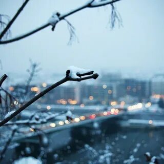 Снежный город утром