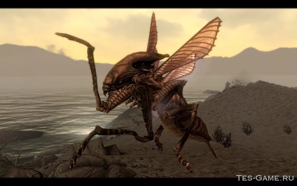 Мод на новых существ. Skyrim мод immersive creatures. скайрим крылатые чудовища. летающие существа из скайрима. morrowind летающее существо.