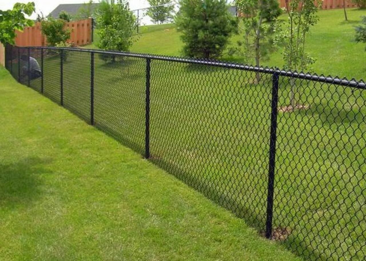 Какой забор можно между участками. Забор для дачи из сетки. Ограждение рабица. Забор из рабицы. Красивый забор из рабицы.