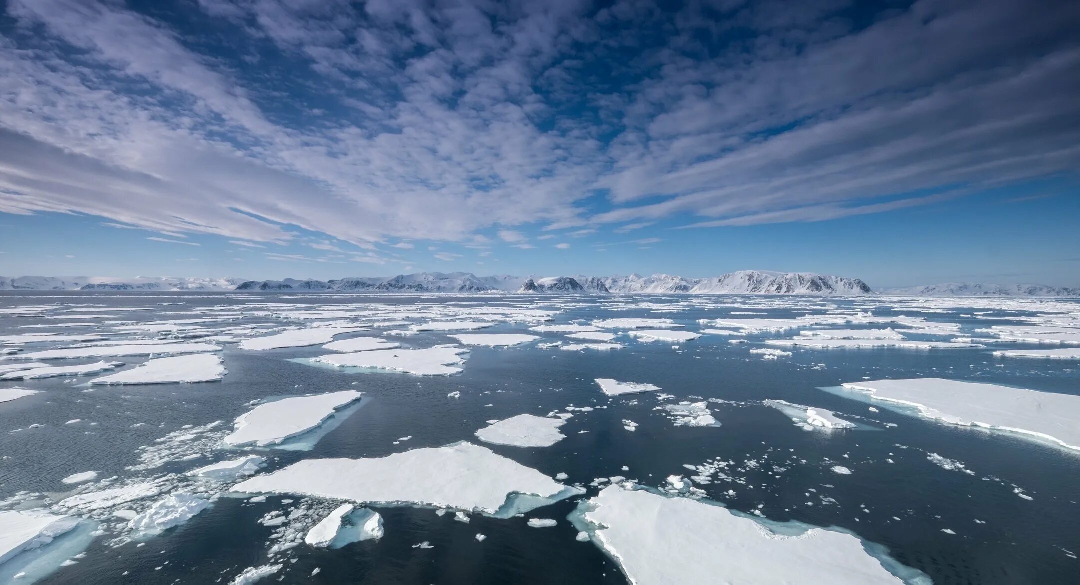 Арктика Северный Ледовитый океан. Северный Ледовитый океан с самолета. Северный Ледовитый океан вид из космоса. Северный Ледовитый океан фото из космоса.