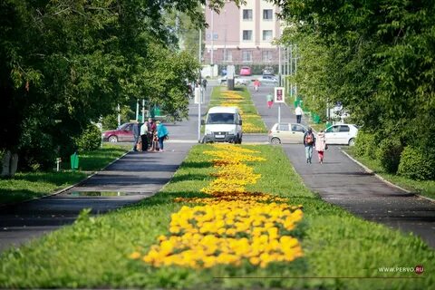 Аллея ильича