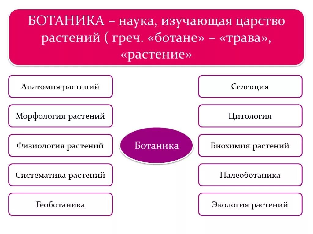 Какая ботаническая наука изучает размножение растений