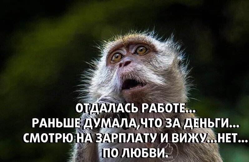 Отдалась работе думала. Отдалась работе раньше думала что за деньги. Отдаюсь работе по любви. Полностью отдаюсь работе. Раньше она думала