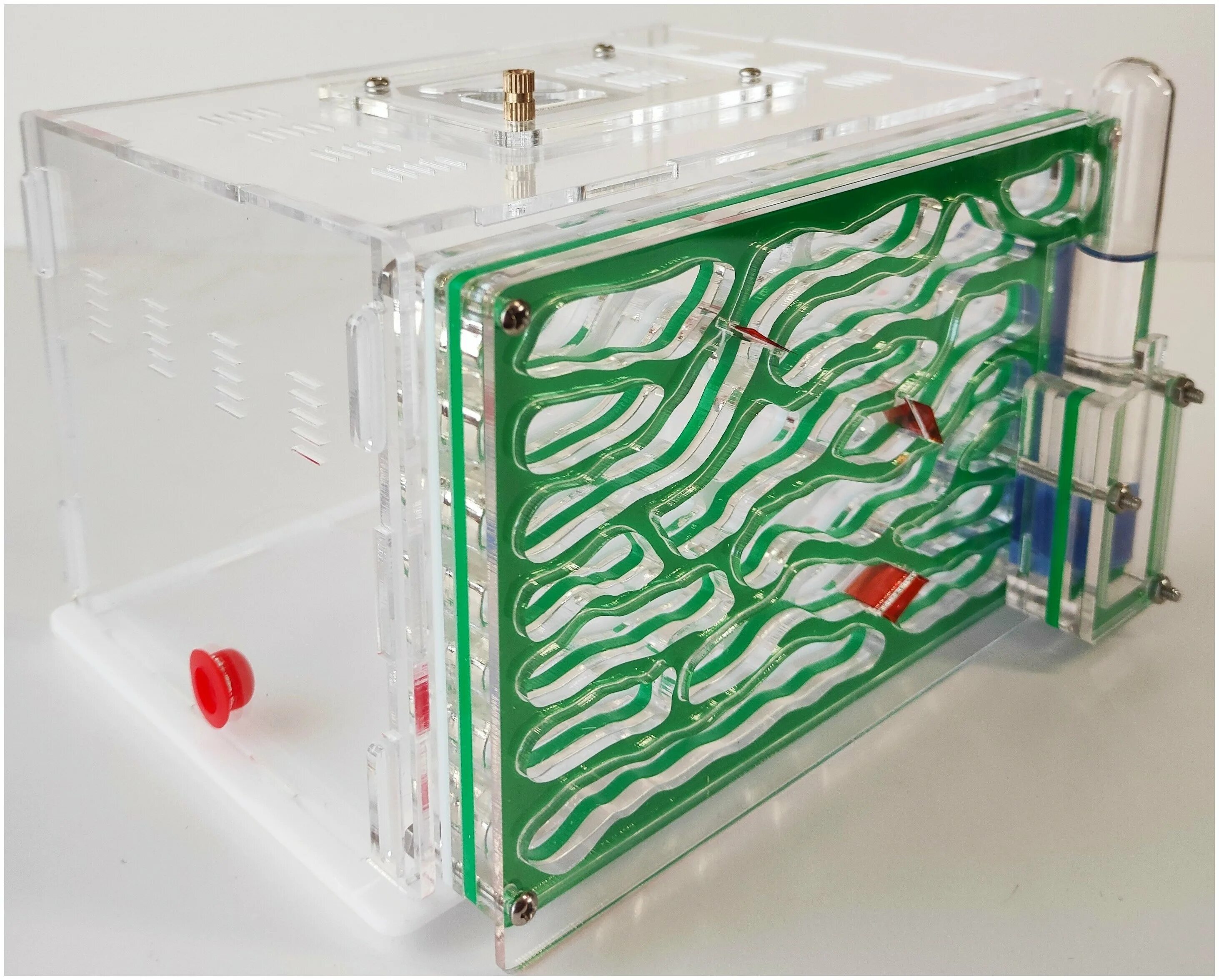 Антипобег для муравьев своими руками. Муравьиная ферма на вднх. Муравьиная ферма отзывы. Формикарий в аквариуме. Муравьиная ферма в ташкенте купить.
