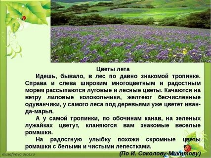 Как бывает в лесу летним днем
