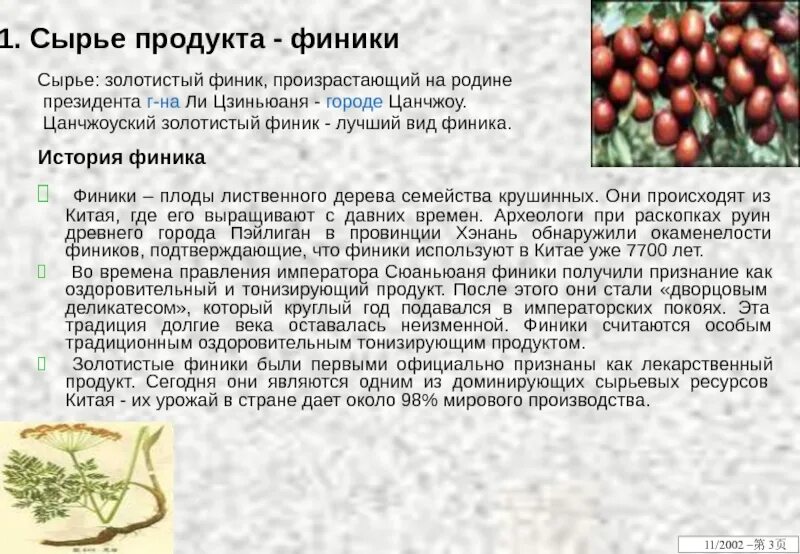 Финиковая пальма (финик пальчатый). Описание финика. Канарская финиковая пальма. Финики история происхождения. Съедобный плод финиковой пальмы.
