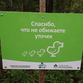 Вы отправились в заповедник помогать