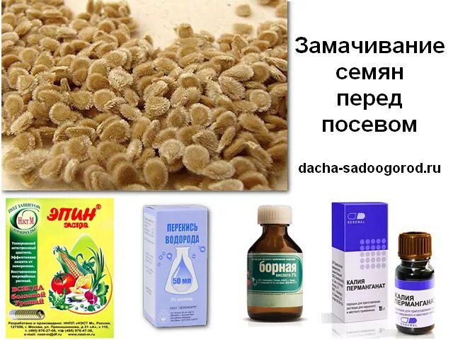 Чем обработать семена для всхожести. Препараты для обработки семян перед посевом. Замачивание семян. Средство для замачивания семян. Растворы для замачивания семян перед посевом.