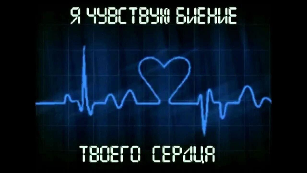 Слышен пульс сердца. Пульс. сердцебиение. пульс сердца. сердцебиение кардиограмма.