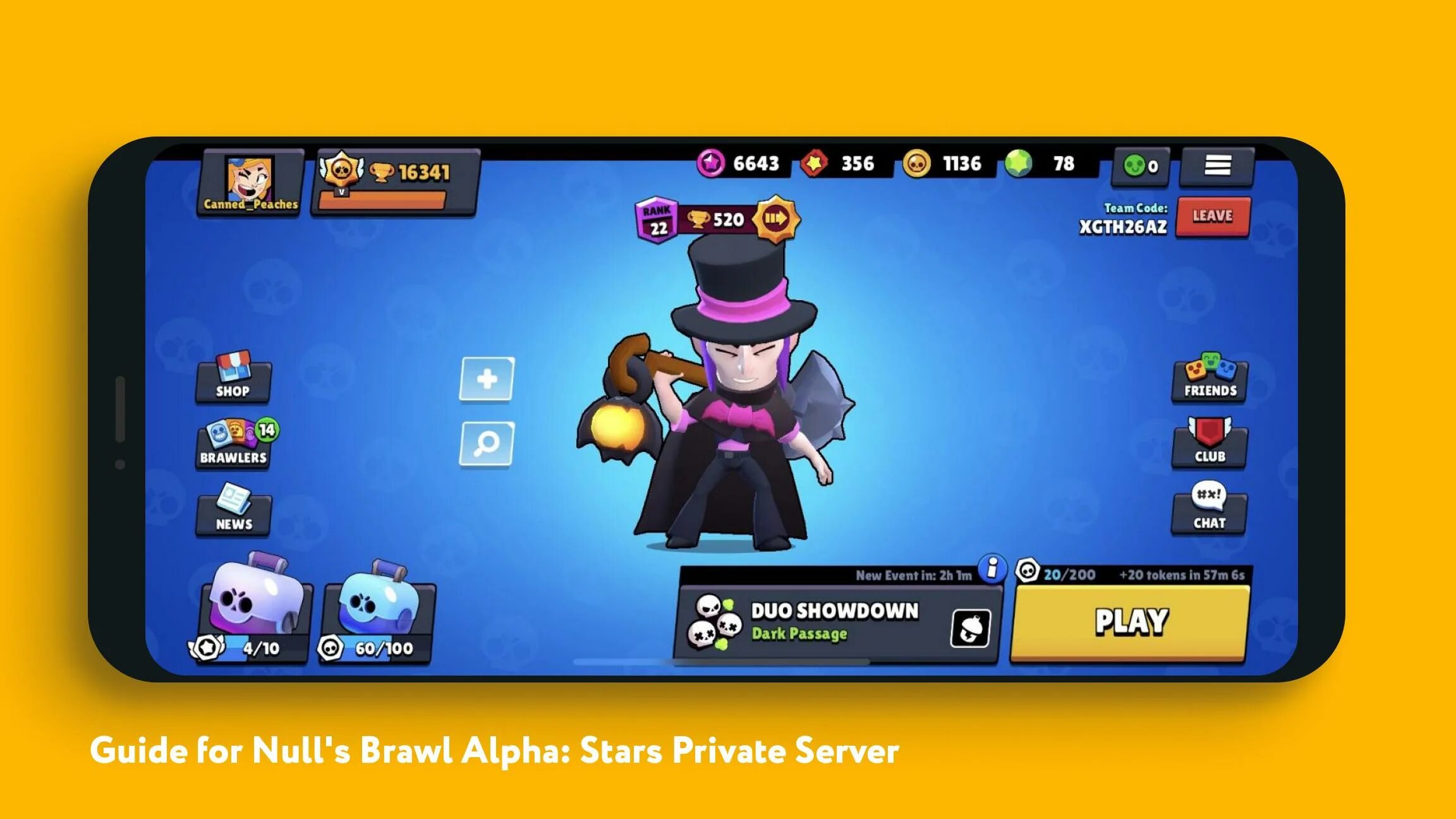 Brawl stars null proxy