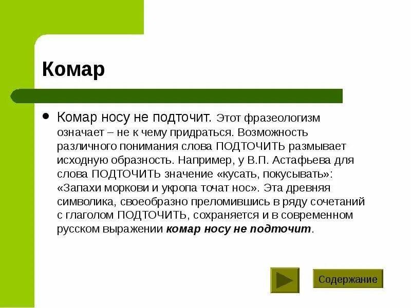 Смысл пословицы комар носа. Комар носа не подточит фразеологизм. Обсудите выражение комар носа не подточит. Фразеологизм комар носа не. Сочинение комар нос не подточит.