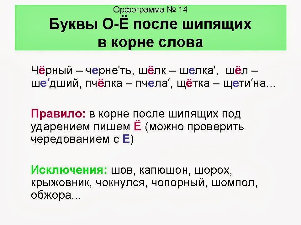 Орфограммы. Что такое орфограмма. Орфограммы 1 класс. Арфорграмма оё после шипящих.