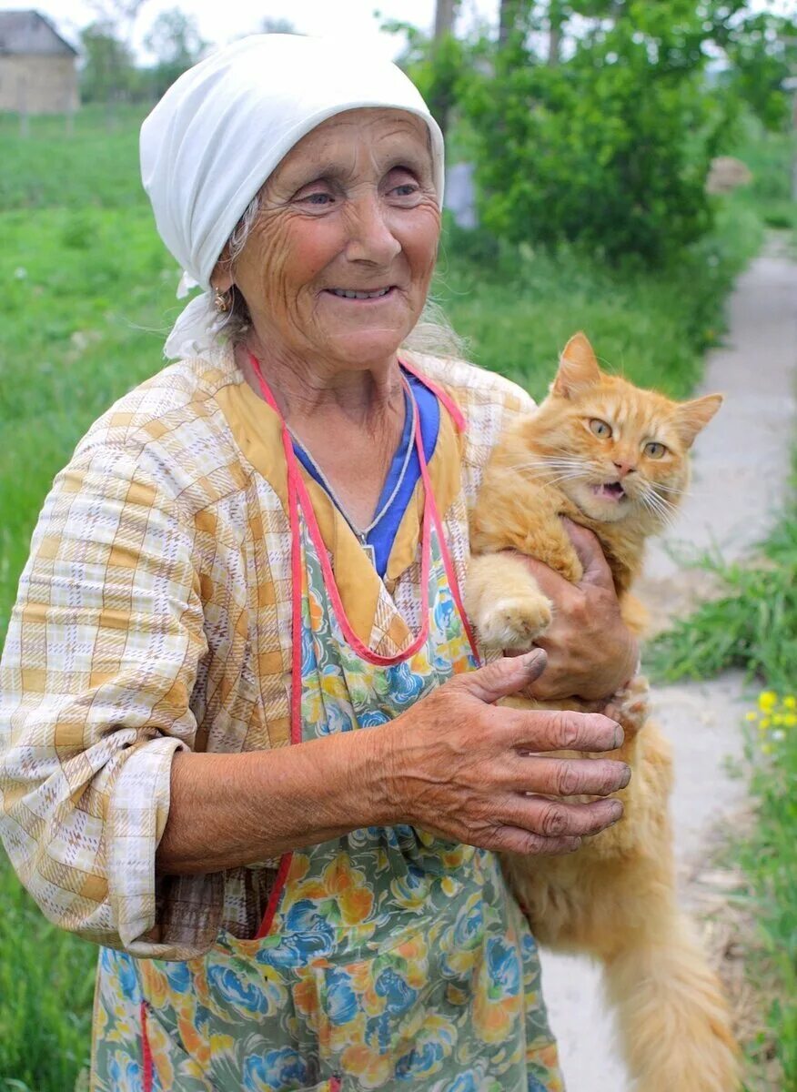 Бабка и кот. Бабушка с котенком. старушка с кошкой. бабка с кошками. бабуля с кошкой.