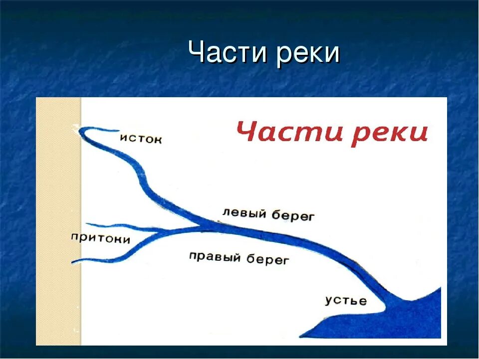 Как называется форма устья реки. Части реки 6 класс география рисунок. части реки схема 6 класс география. река части реки. части реки схема.
