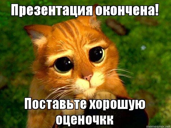 Поставьте пять пожалуйста. Детские печати для оценивания котята. Оценочку пожалуйста. Оценочку. Презентация окончена спасибо за внимание.