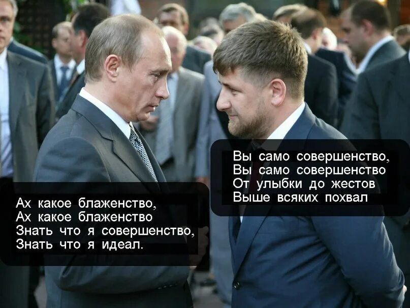 Само совершенство. Вы само совершенство. Само совершенство картинки. Вы само совершенство от улыбки до жеста выше всяких. Вы само совершенство от улыбки.