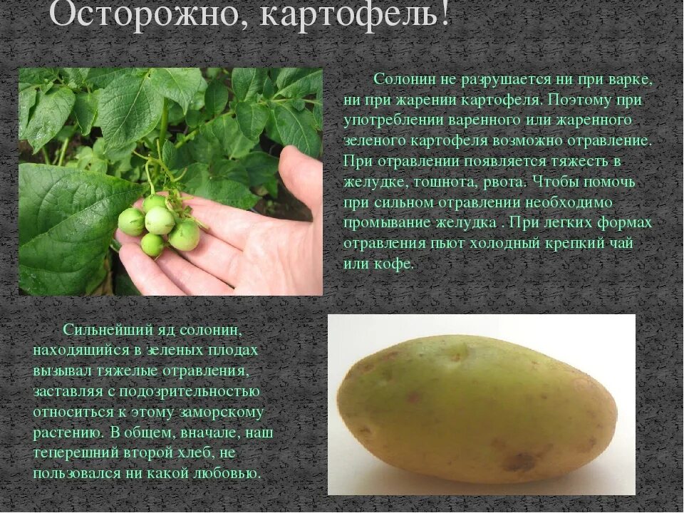 Какие связи разрушаются при варке картофеля