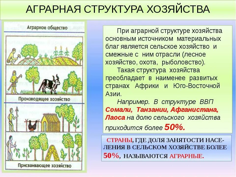 Постиндустриальное сельское хозяйство. Аграрная структура хозяйства. Страны с аграрной структурой хозяйства. Аграрная структура экономики это. Аграрная структура страны.