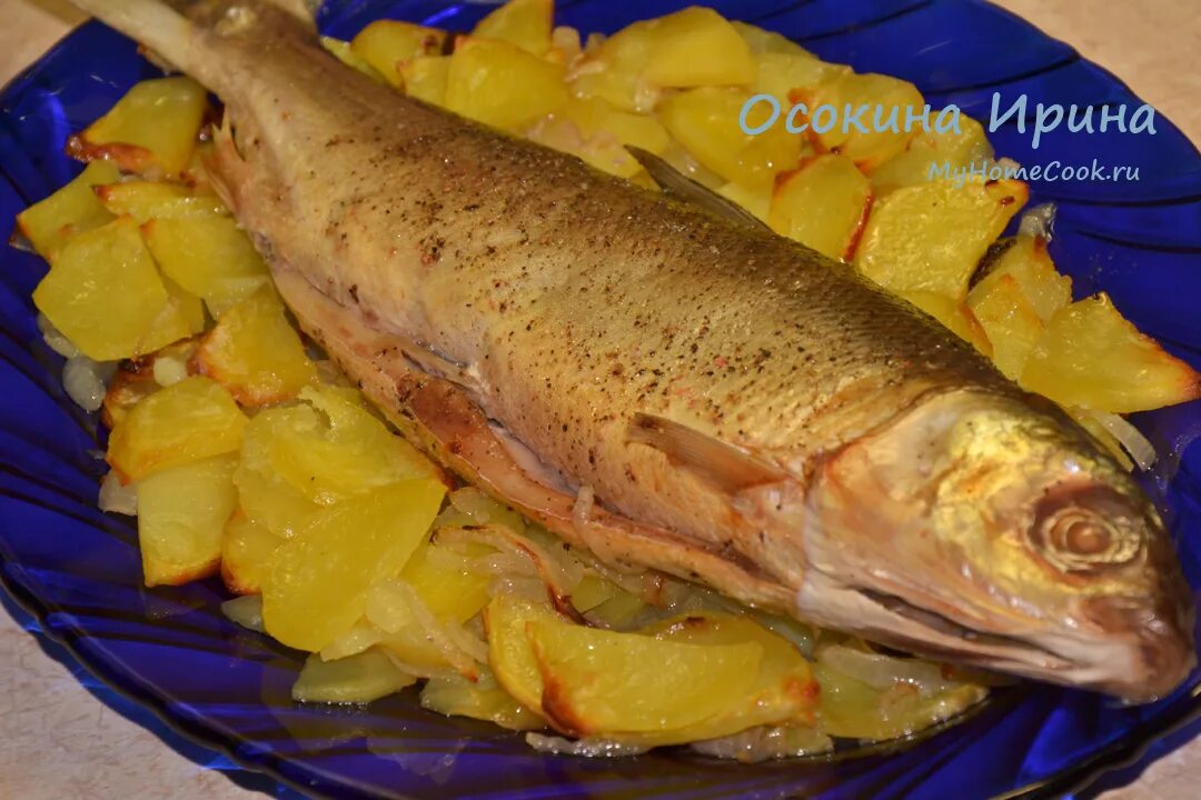 Eating in Irkutsk - The Travelling Squid