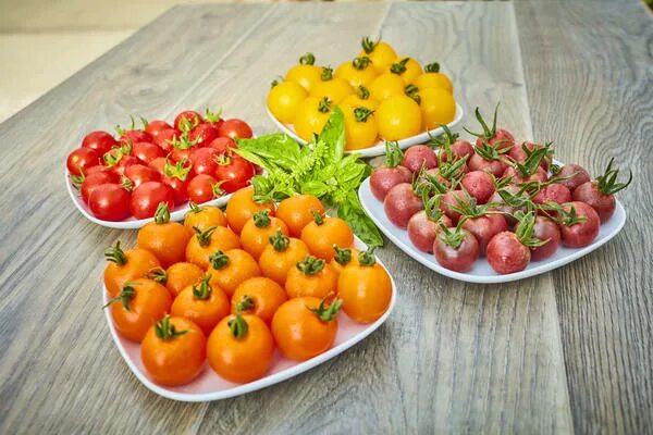 Free Images : fruit, food, red, produce, vegetable, vegetables, tomatoes, flower