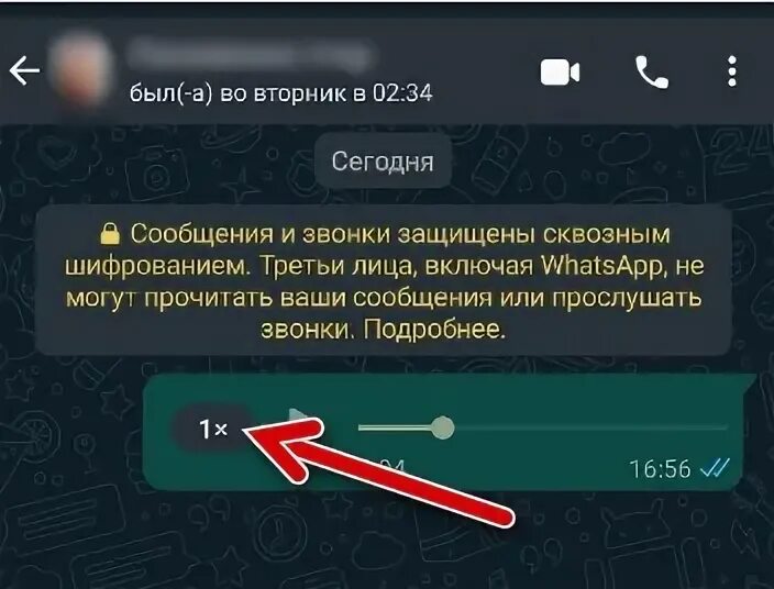 Как убрать в ватсапе ускоренное голосовое. Как ускорить головые в вотсап. Почему в ватсапе голосовое сообщение ускоренное как. Как ускорить голосовое сообщение в ватсапе