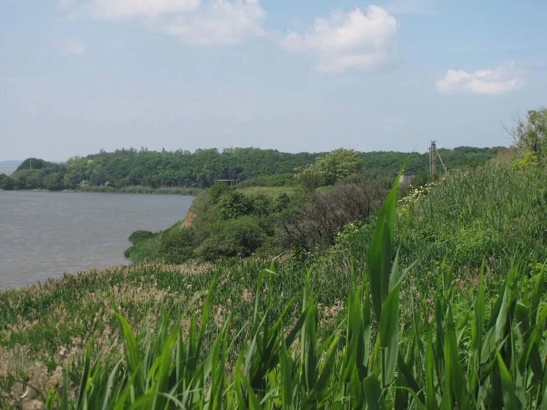 Ростовская область неклиновский район село. Пруд Пятихатки Неклиновский района. Хутор Мураловка Неклиновский район Ростовская. Неклиновский район природа. Новоприморский Ростовская область.