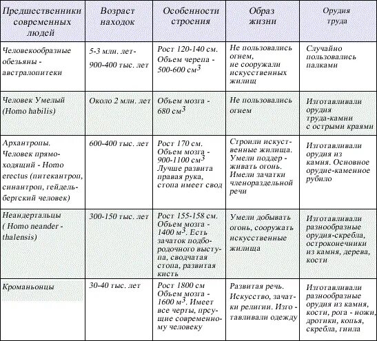 Таблица по биологии этапы эволюции человека