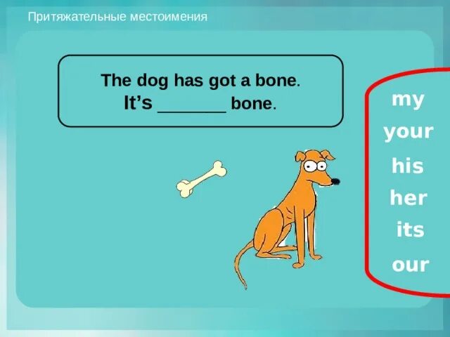 Dog какое местоимение. Dogs заменить на местоимение. A dog местоимение. Dog какое местоимение. Лицо местоимений 4 класс.
