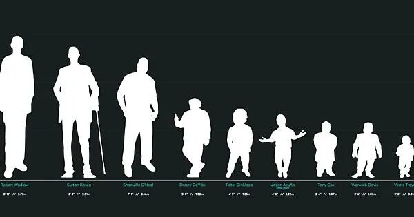 Как выглядит 140 человек P height
