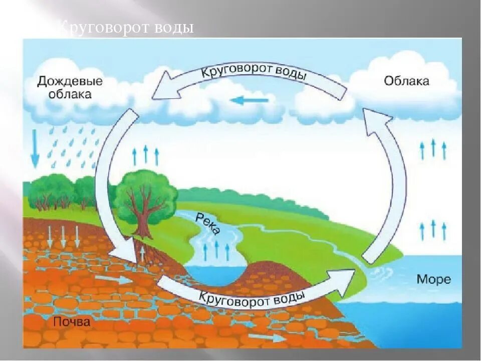 Круговорот реки. Схема круговорота воды в природе по химии. Круговорот воды в природе 1 класс. Вода в природе схема. Круговорот воды в природе схема.