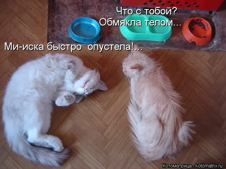 Почему у тебя нет девушки. До сих пор нет детских. Кем хотите стать когда вырастите. Ты красива и умна. Футболка лысый безработный.