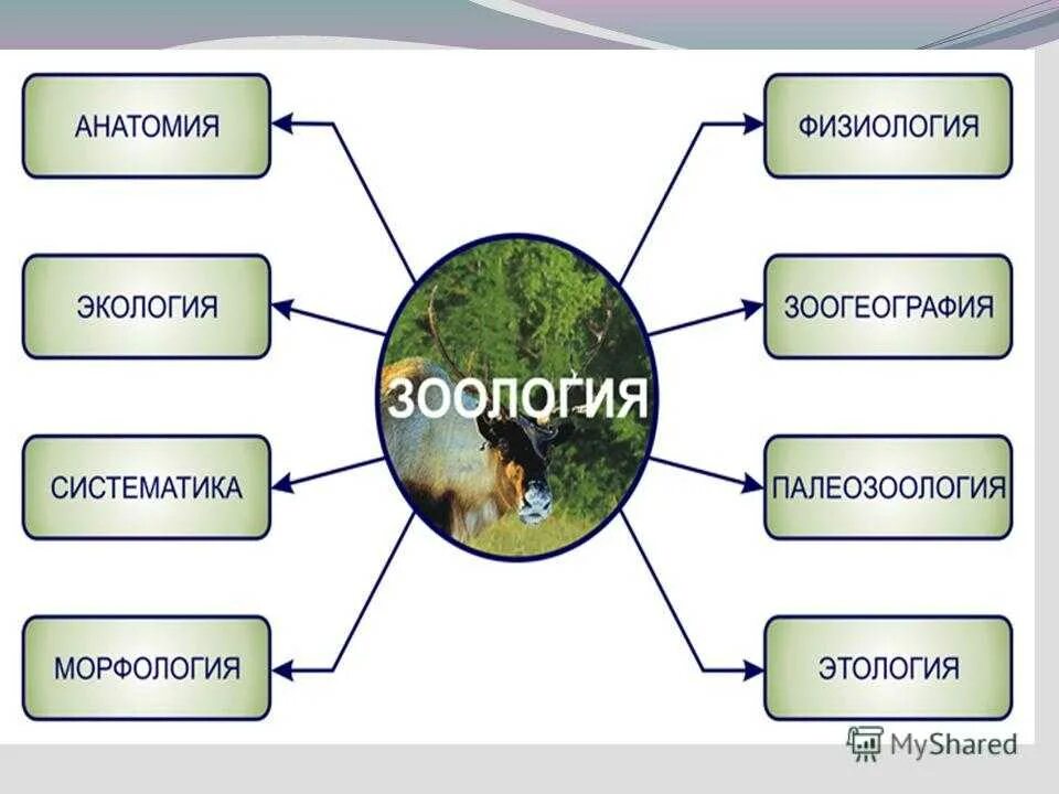 Тест по теме биосфера с ответами