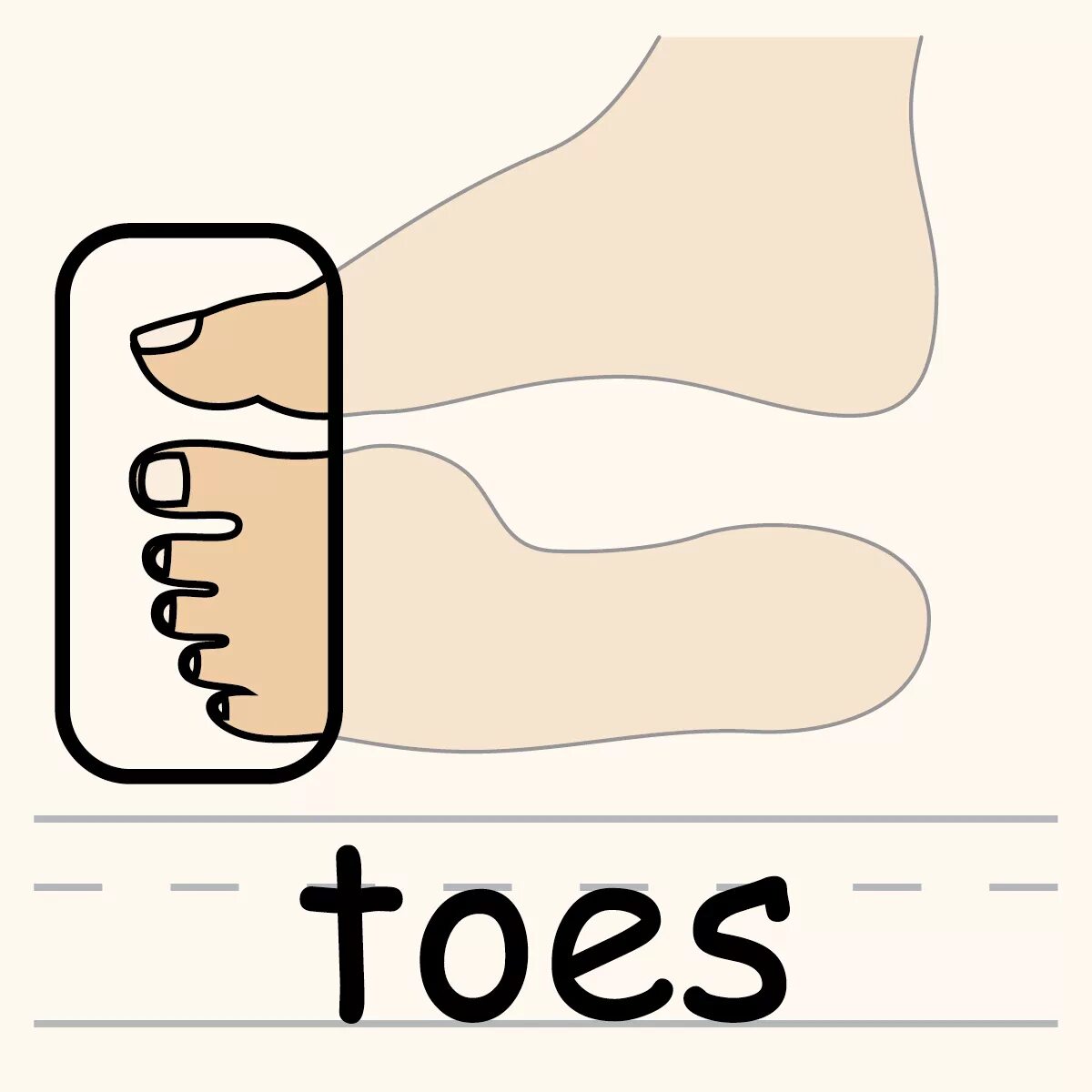 Toes произношение. Toes рисунок. Toes карточка на ногах. Toes картинка для детей. Toes раскраска.