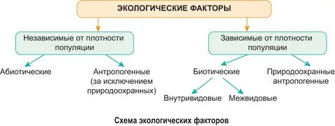 Зависимые популяции