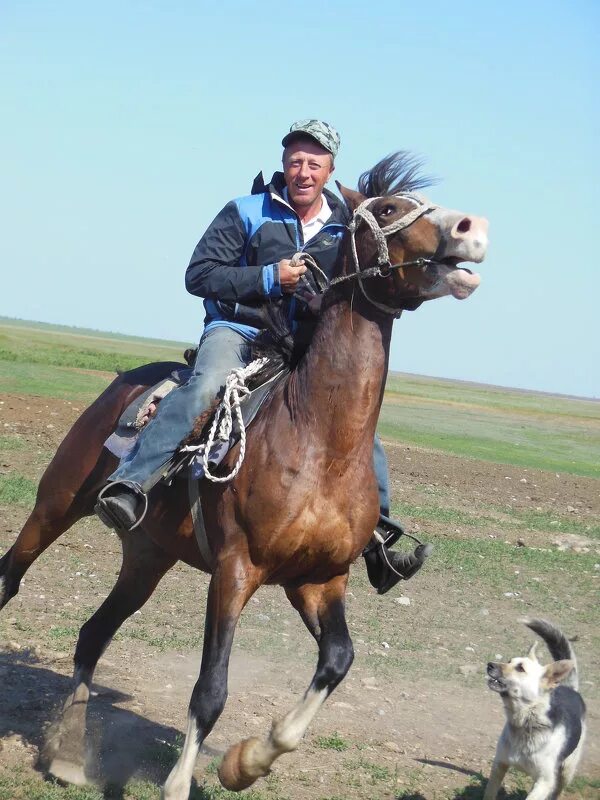 рыбак дмитрий шабалин. катушка team dubna для зимней рыбалки. сполох конь. зимняя удочка тим дубна 67. удилище зимнее team dubna vib special tdvs-67h.