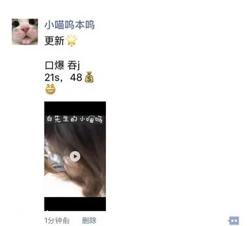 트위터 블로거의 극한 성교육, 전체 노출, 비공개 촬영, SM 속박, 암캐 노예 고문, 미유 고문, 바이 씨의 작은 야옹 