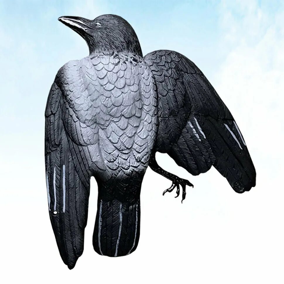 Crow sport. Crow sport. Муляж ворон cr 750 sport plast. Ворона. Crow sport.