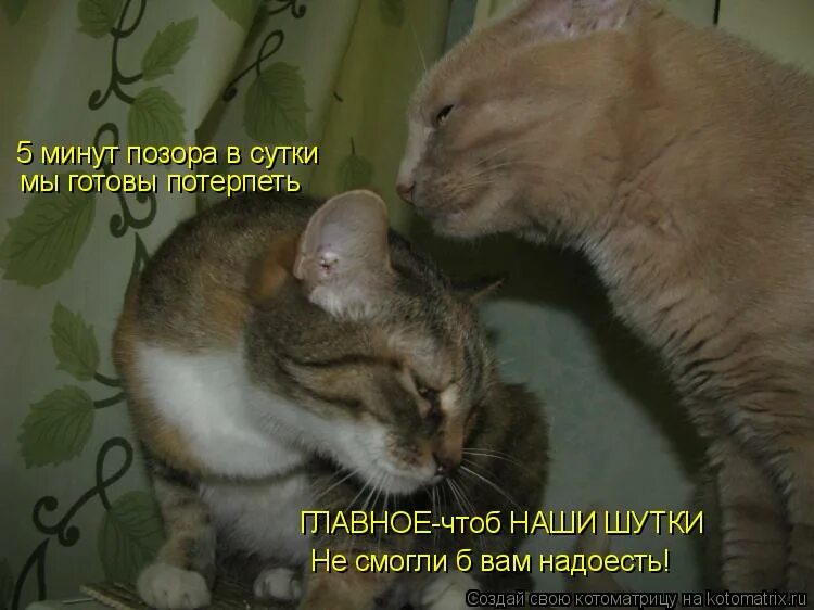 пять минут позора. 5 минут позора. 5 минут позора. конфуз карикатура. отсутствие самоиронии.