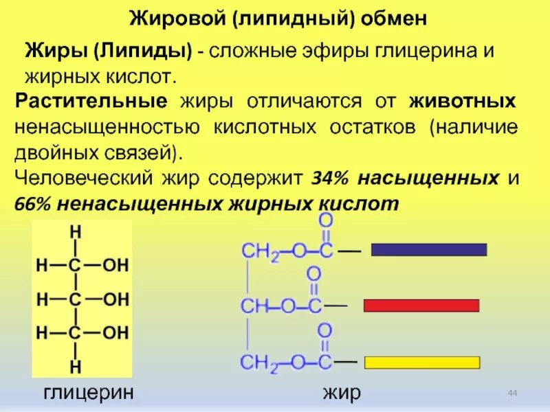 Гликолипид фосфолипид холестерол. Этерифицированная форма жирных кислот. Расщепление липидов в организме человека. Липиды жирные кислоты. Расщепляет полипептиды